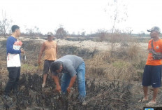 Polisi Selidiki Kebakaran Lahan di Betara, Termasuk Lahan Konsesi PT AMM