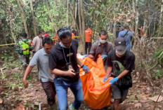 Pria Paruh Baya Ditemukan Membusuk, Terkubur di Rawa-rawa Kebun Karet