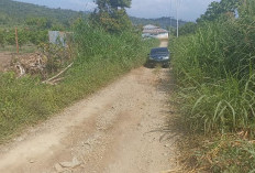 Warga Keluhkan Jalan Rusak Puluhan Tahun di Tamiai Kerinci Tak Kunjung Diperbaiki