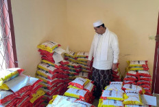 SAH : Hanya di Era Prabowo Stok Cadangan Beras Capai 4 Juta Ton