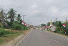 Desa Rantau Tenang Pasang 200 Bendera Merah Putih Sambut HUT ke-79 RI