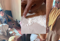 HEBOH! Penemuan Beras yang Diduga Plastik di Batanghari 