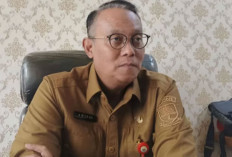 Pemprov Jambi Soroti Dominasi TKA di Perusahaan Besar, Dorong Peningkatan Serapan Tenaga Lokal