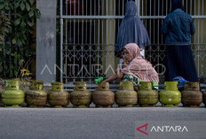 Pakar Ekonomi Sebut Sasaran Subsidi Energi Seharusnya Sama dengan Sasaran BLT