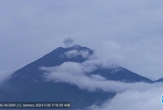 Gunung Semeru Erupsi Lagi, Letusan Capai 500 Meter di Atas Puncak