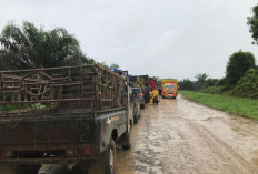 Jalan Menuju Jembatan Muara Sabak Rusak Parah Akibat Hujan dan Mobil Terperosok