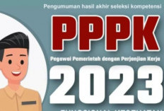 RESMI! Pengumuman Kelulusan PPPK Guru 2023 Diundur, Catat Jadwal Terbarunya 