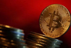 Bitcoin di Titik Rendah, Ini Komentar CEO Indodax tentang Pergerakan Harga Bitcoin