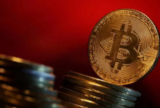 Penurunan Harga Bitcoin Jadi Kesempatan untuk Strategi Investasi