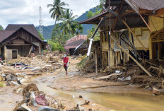 Bencana Sumatera Ditangani Nasional, Jambi Targetkan Galang Bantuan Rp1 Miliar