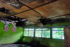 Sekolah Swasta Dapat Usulkan Perbaikan melalui Program Revitalisasi