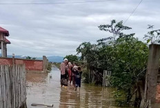 Puluhan Rumah di Tiga Desa Kerinci Terendam Banjir, Warga Mengungsi dan Minta Solusi Pemerintah