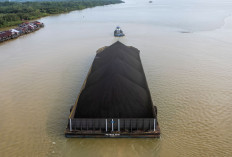 Tak Ada Niat Baik Lakukan Reklamasi, 10 Tambang Batu Bara Jambi Disanksi Kementerian ESDM 