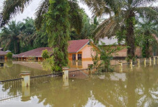  Sekolah Masih Diliburkan, Tebo Waspada Kiriman Air Sungai Batang Tebo