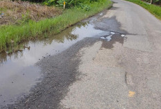 Jalan Nasional di Bram Itam Rusak Parah