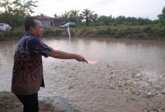 Bupati Muaro Jambi BBS Kunjungi Sentra Budidaya Ikan Air Tawar di Tangkit Baru