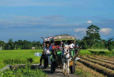 Desa Wisata yang Menarik untuk Dikunjungi saat Liburan Akhir Tahun
