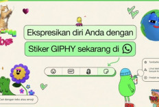 WhatsApp Hadirkan Fitur Baru untuk Stiker, Lebih Banyak Pilihan untuk Ekspresi Diri