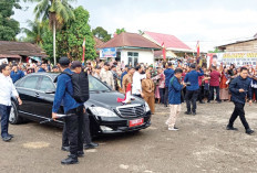 Kunjungi Kabupaten Tebo, Jokowi Tinjau Pasar Tanjung Bungur Dan Fasilitas RSUD STS Tebo