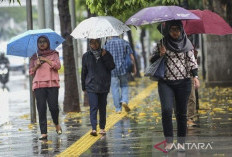 BMKG Perkirakan Hujan Mengguyur Sebagian Besar Indonesia pada Minggu