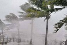 Update Cuaca, Jambi dan Mayoritas Wilayah Indonesia Berpotensi Alami Hujan Lebat dengan Intensitas Tinggi