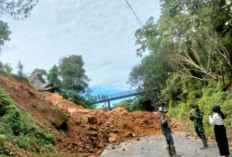 Akibat Tertimbun Longsor di Lolo, Jalan Padang-Kerinci Lumpuh Total 