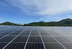 Pemerintah Percepat Pengembangan Energi Terbarukan untuk Capai Nol Emisi 2060