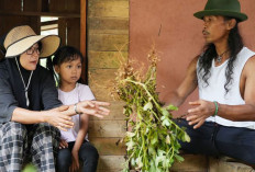 Tahu Diri Lebih Penting Ketimbang Bela Diri 