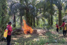 Hidup Berdampingan Dengan Alam Adalah Jalan Hidup