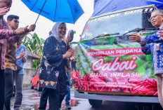 Bangun Kerja Sama, Pj Wali Kota Jambi Lepas Pembelian Perdana Cabai dari Sleman