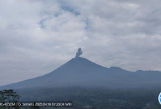 Gunung Semeru Alami Empat Kali Erupsi dalam Sehari, Warga Diminta Waspada