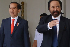 Istana Benarkan Presiden Jokowi Bertemu Surya Paloh