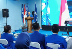 Nama Calon Ketua DPD PAN Kabupaten/Kota Sudah Dikirim ke DPP, Musda Segera Digelar