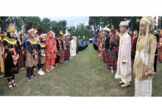 Pemuda Penggerak Kemajuan Daerah, Maulana Dorong Generasi Muda Sehat dan Kreatif