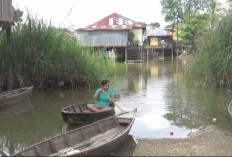 Debat Sungai Batanghari Naik Lagi, Puluhan Rumah Mulai Terendam
