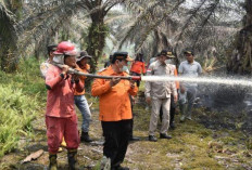 Hingga Agustus, 140,2 Hektar Lahan di Kabupaten Sarolangun Terbakar 