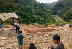 Rusak, Warga Batangasai Perbaiki Jalan Provinsi 