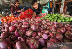 Harga Pangan 30 Januari 2025: Bawang Merah Tembus Rp45.000 per Kilogram