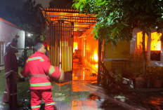 Kebakaran yang Menghanguskan Rumah Dihuni 9 Orang di Pasir Putih, Tidak Ada Korban Jiwa