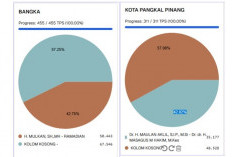 Suara Rakyat Terabaikan, Kotak Kosong Menang Telak di Pilkada Kota Pangkal Pinang dan Kabupaten Bangka