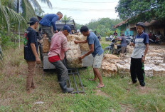 Harga Karet di Bungo Stabil, Petani Harapkan Tidak Ada Penurunan