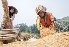 Terkuat Dalam 20 Tahun