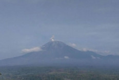 Gunung Semeru Luncurkan Awan Panas 