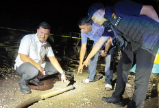 Polisi Selidiki Penyebab Kebakaran Gudang Minyak Ilegal 