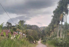 10 Tahun Tak Diaspal, Jalan Kampung Jawa Rusak Parah