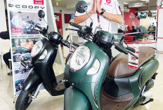 Scoopy Hadir dengan Warna dan Striping Baru 