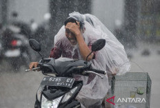 BMKG Perkirakan Hujan Guyur Beberapa Kota Besar 