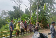 Tinjau Kondisi Jalan Rusak di Lima Desa Tanjung Pauh, Pj Bupati Asraf Langsung Turun