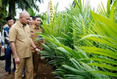 Bupati TeboAgus Rubiyanto Luncurkan Pro Best Tebo Maju