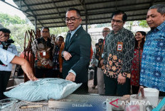 Mendiktisaintek Tekankan Peran Kampus dalam Mendorong Ekonomi Berbasis Sains